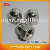 Stainless Steel Nut