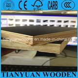 (MarinePlx) Concrete Slab Use Film Faced Plywood