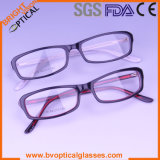 2012 New Model Acetate Colorful Prescription Eyewear (1170)