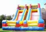 Inflatable Giant Slide, Two Slipway Slide, Double Lane Slide (B4054)