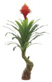 Artifical Flowers Bromeliad Tree (0099)