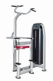 DIP & Chin Assist Commercial Fitness/Gym Equipment with SGS/CE