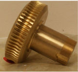 Different Kinds of Precision Brass Spur Gears, Brass Worm Gear