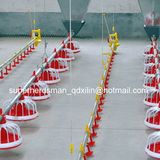 Full Set High Quality Automatic Poultry Equipment for Chicken Rearing