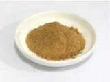 Shiitake Extract Powder
