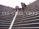 Colorful Stone-Coated Metal Roof Tile/Sand Coated Roof Tiles