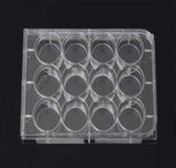 High Quality Cell Culture Plate with CE &ISO