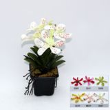 Artificial Potted Flower, Imitative Silk Orchid