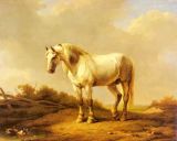 Animal Horse Oil Painting
