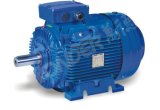 We Series (IE2) Three Phase High Efficiency Asynchronous Cast Iron Motors