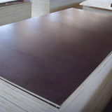 Cheap Price Building Material, Film Faced Plywood