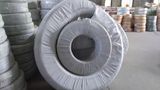 PVC Clear Steelwire Spring Spiral Water Industrial Hose 25mm