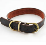 Leather Pet Collar with Five Different Size