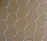 Soccer Net