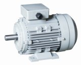 MS Series Three-Phase Electric Motor