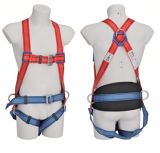 Full Body Safety Harness (JE1059B - CE EN361 EN358)