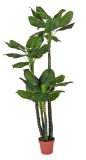 Artificial Plants and Flowers of Pothos 42lvs 180cm