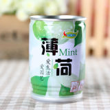 Canned Plants with Mint Seeds