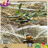HDPE Warp Knitted Fabric Agriculture Olive Net/Harvest Nets