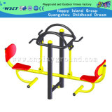 Double Seated Outdoor Fitness Exercrise Equipment (HD-12005)