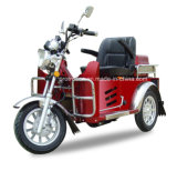 110cc for Handicapped Tricycle (DTR-2)