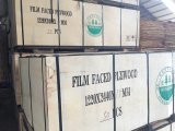 Construction Products of Film Face Plywood (w16010)
