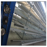 New H Type Galvanized Cheap Poultry Cage of Chicken Farm