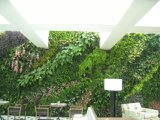 High Quality Artificial Plants and Flowers of Vertical Garden Gu-Mx-Green-Wall006