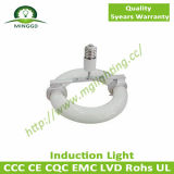 40W~80W Environmental Round LVD Induction Light/Induction Lighting