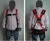 Fall Protection Safety Harness (BA020092)
