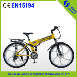 Hot Selling Hidden Battery Electric Bicycle