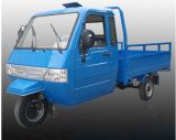 2014 Hottest 250cc Three Wheel Tricycle (SP250ZH-2H)