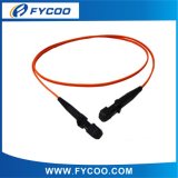 Fiber Optic Patch Cord, MTRJ-MTRJ, Mm, Simplex, 2.0/3.0mm