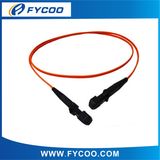 Fiber Optic Patch Cord, MTRJ-MTRJ, Mm, Simplex, 2.0/3.0mm