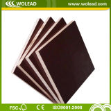 Black Film Faced Concrete Plywood /Finger Joint Plywood (w15479)