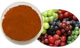 Grape Seed Extract (anthocyanin)