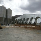 Professional Chicken House Design and Construction with Steel Structure