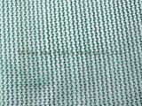 Green Shade Net