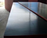 Factory Direct-Hot-Sale Film Faced Plywood, Shuttering Plywood