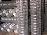 Welded Wire Mesh 003