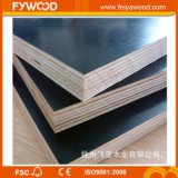 Wood Plywood 18mm Pine Plywood for Wholesale (FYJ1506)