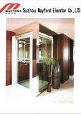 400kg Good Quality Villa Elevator with Glass Cabin