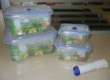 China Wholesale Hot Sale Plastic Food Container with High Quality