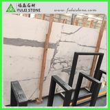 Premium Quality Staturario White Marble