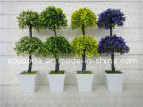 Artificial Plastic Potted Flower (XD14-210)