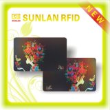 Full Color Printing Magnetic Stripe Smart Card with I-Code Sli Chip
