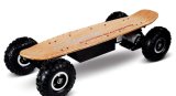 1200W Electric Skateboard (EC-800) /Electric Vehicle