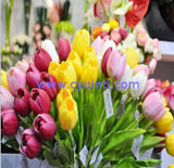 Nature Touch PU Artificial Tulip Flowers