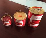 Tomato Paste