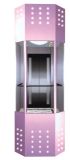 Panoramic Elevator Glass Elevator (DAIS-532)